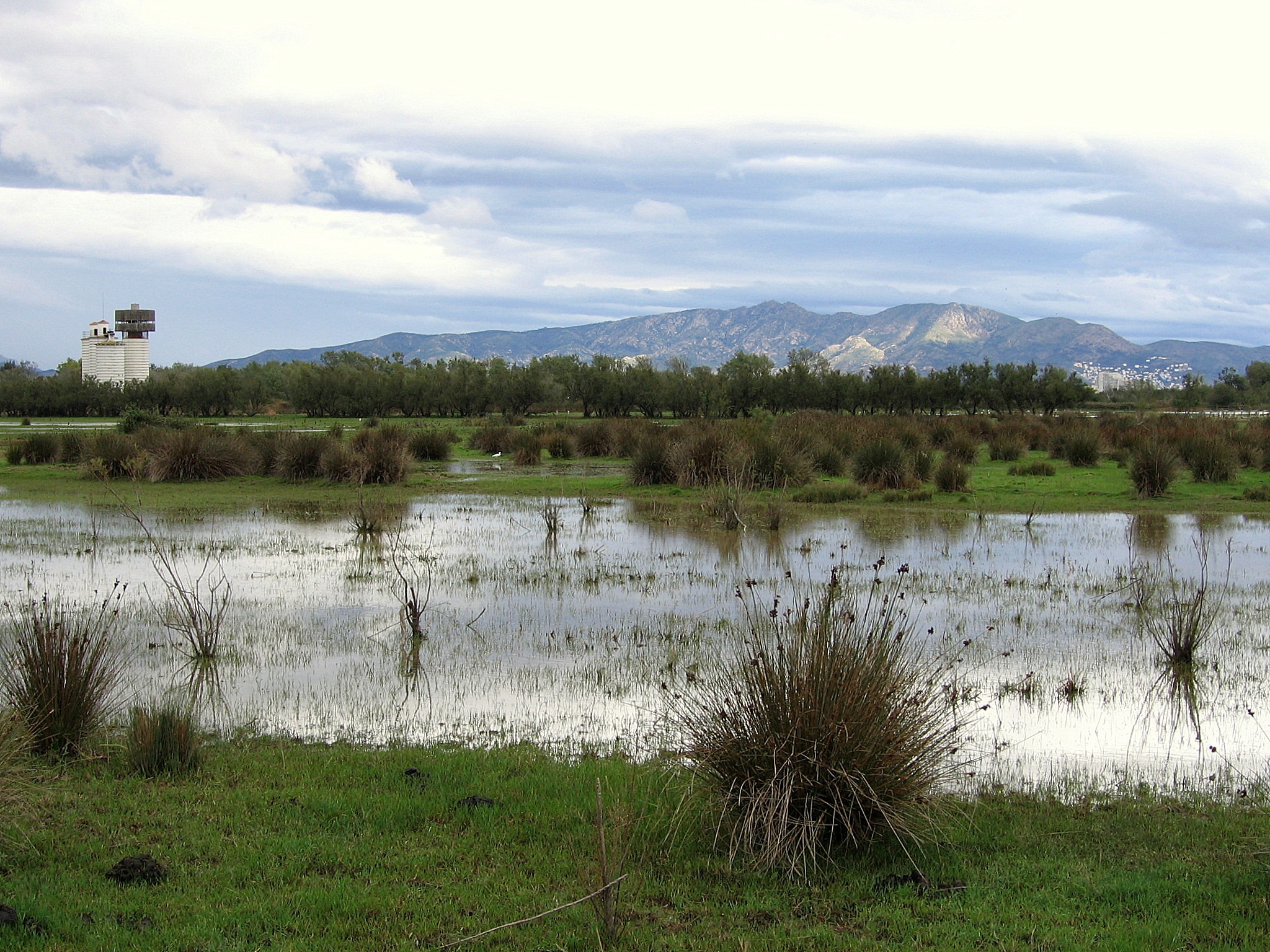 17 i 31 octubre 2021 - Diumenges de tardor Aiguamolls de l'Empordà