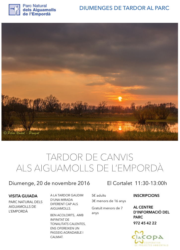 20 de novembre. Tardor als Aiguamolls