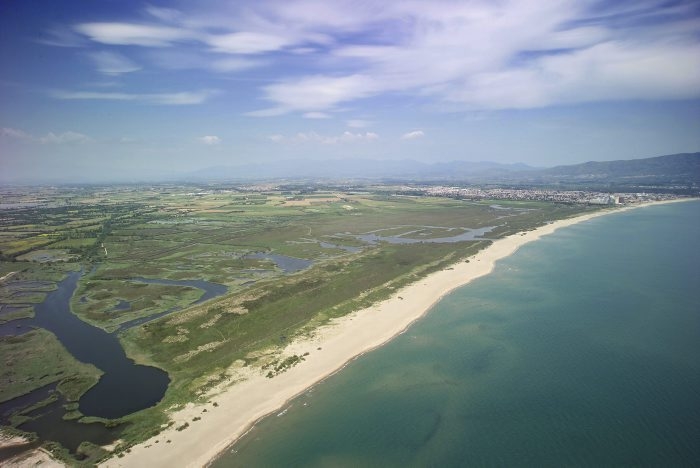 Activitats de primavera al Parc Natural dels Aiguamolls