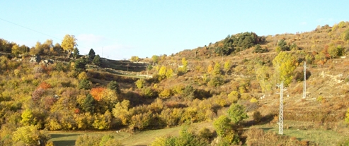 Estudis del paisatge