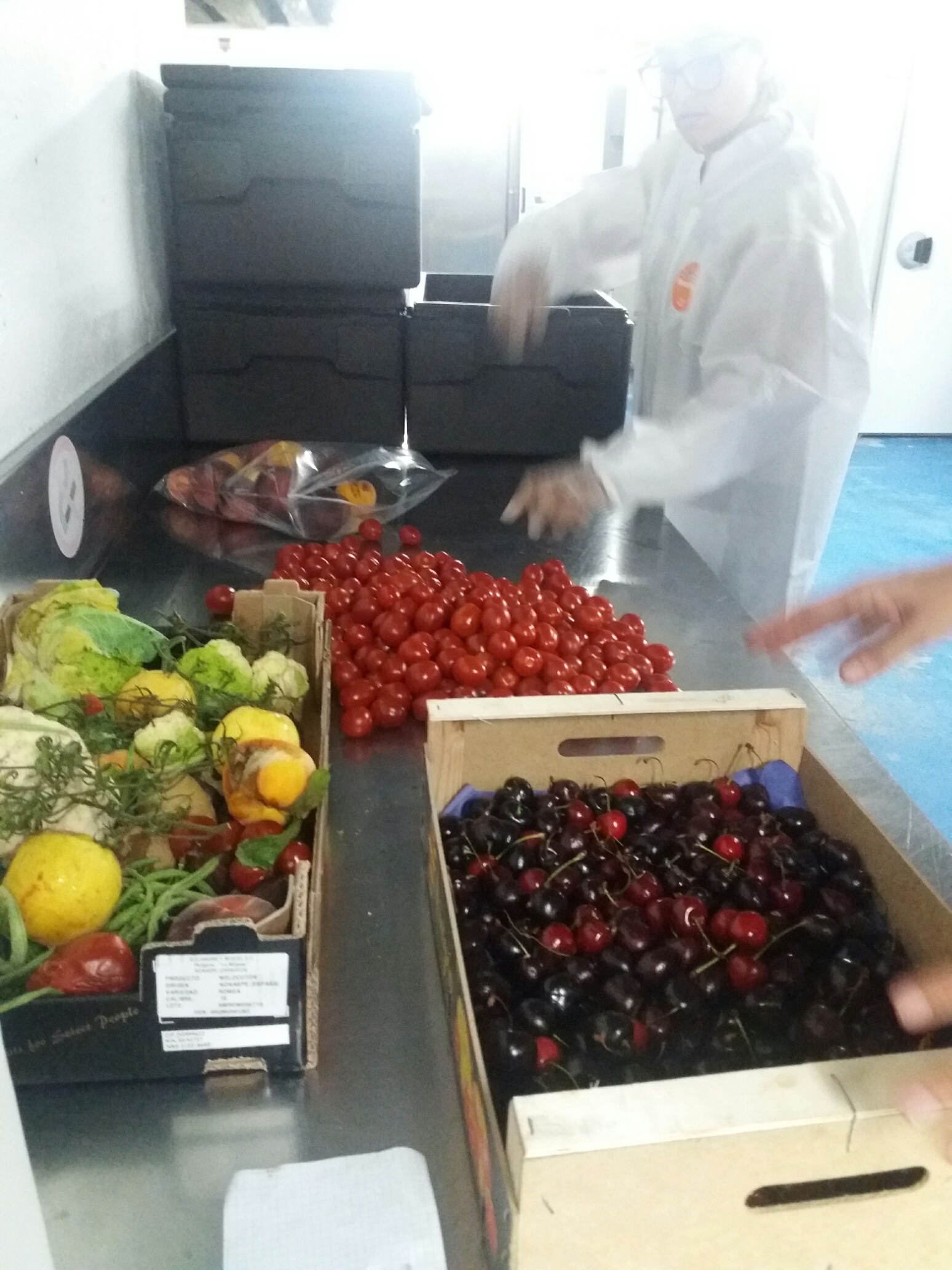 Recollida de minves al Mercat del Lleó de Girona