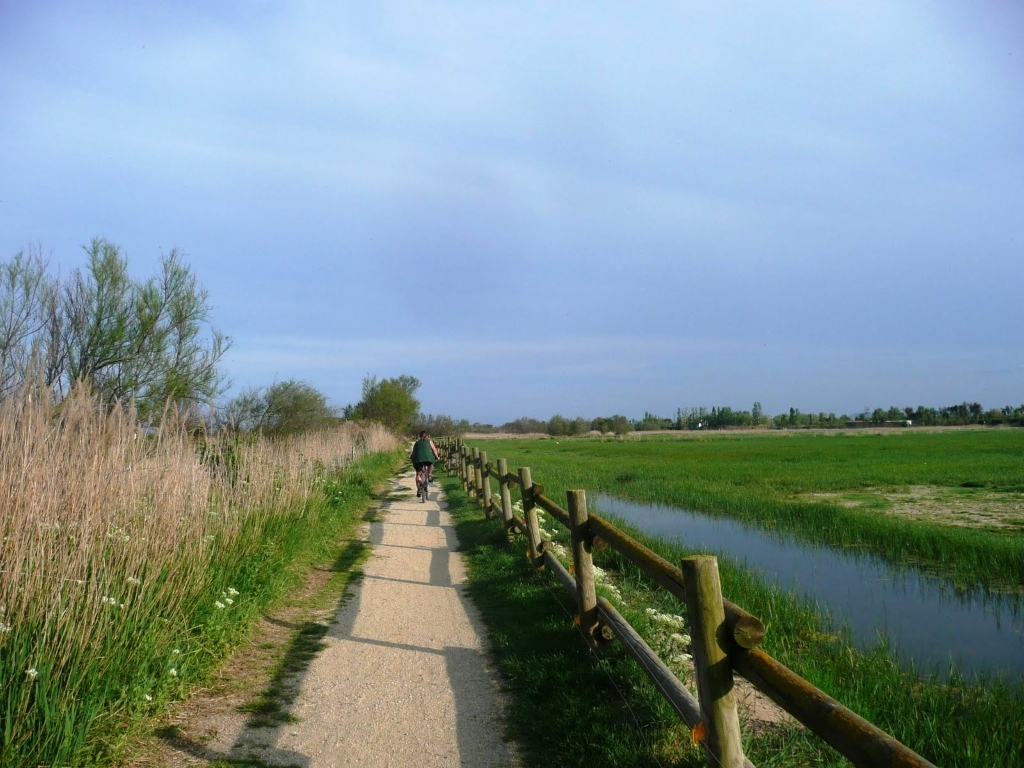 Resseguint el camí de l'aigua