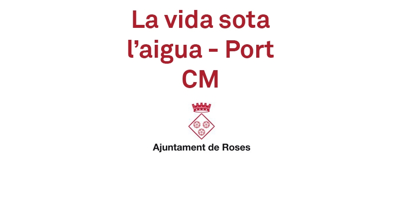 ROSES: La vida sota l'aigua i la pesca al Port de Roses