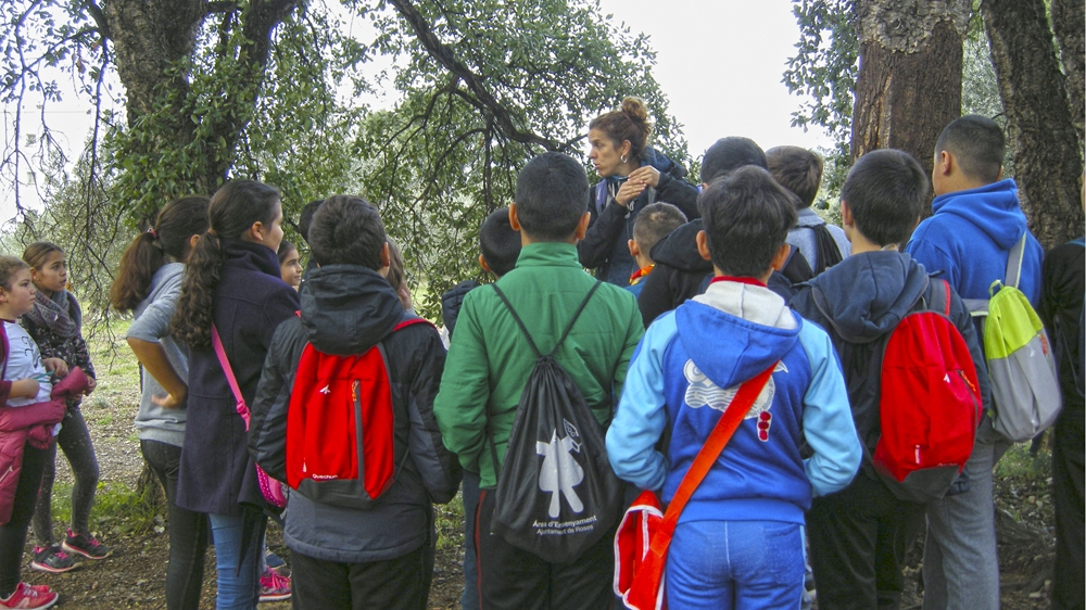 SORTIDA A L'ENTORN: L'ecosistema del bosc mediterrani