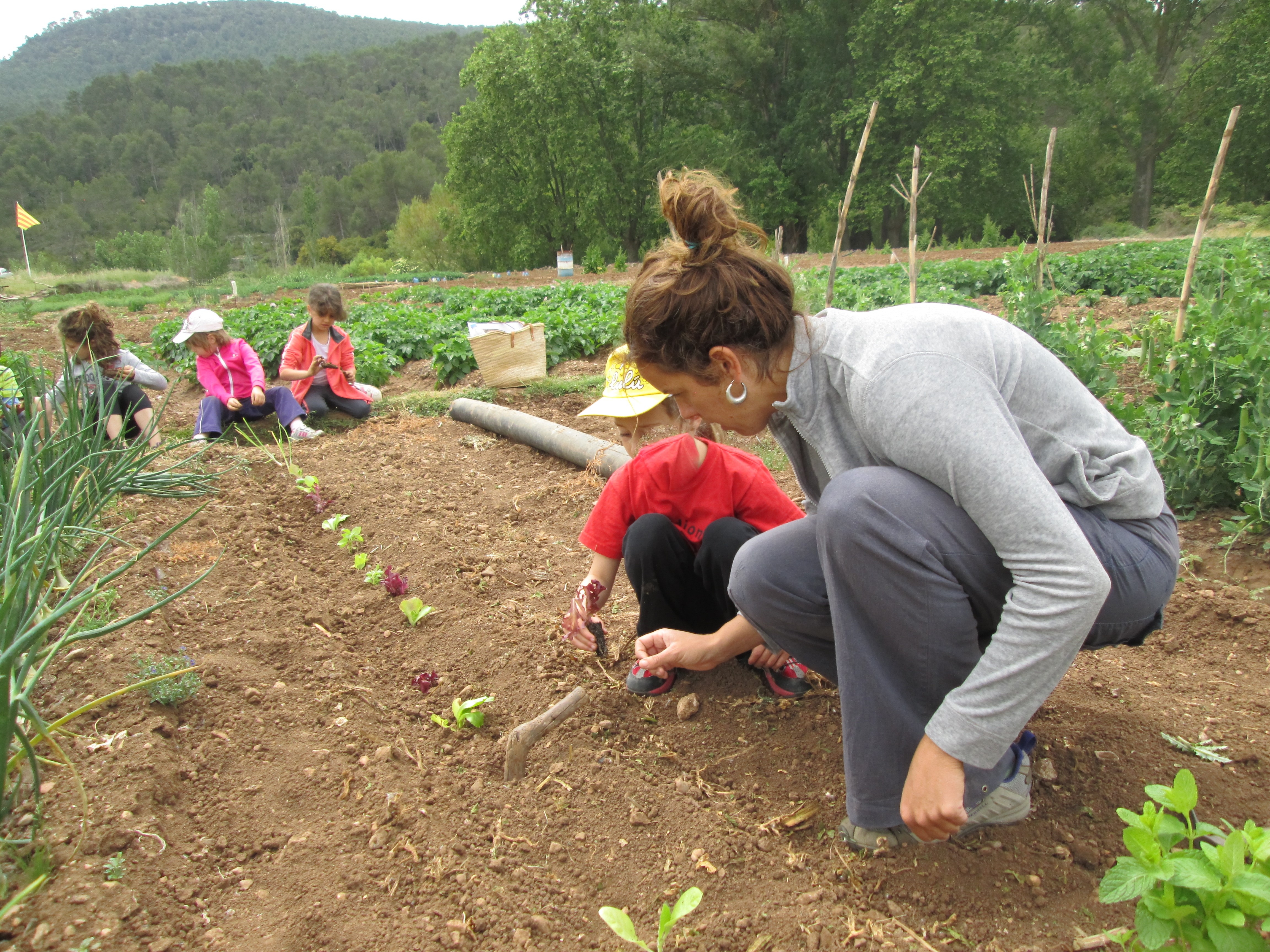 TALLER AMBIENTAL: L'hort a l'aula