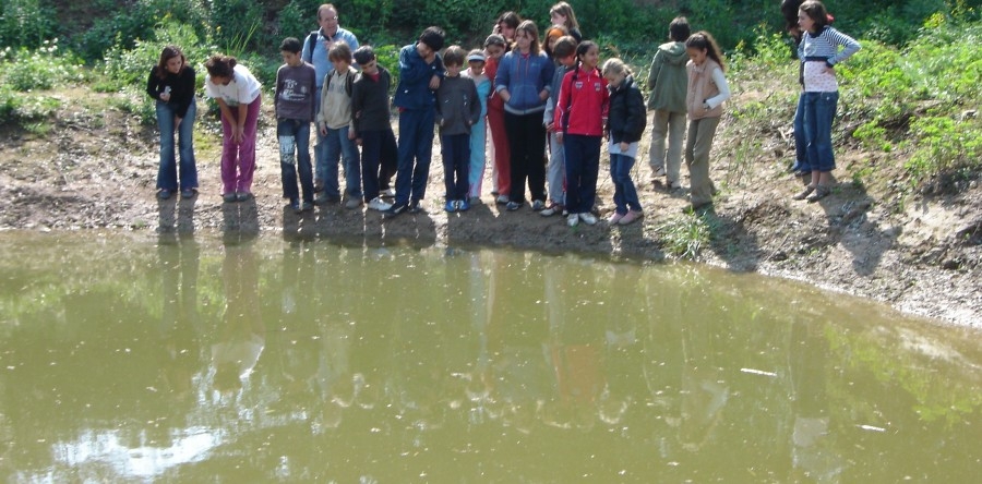 SORTIDA A L'ENTORN:  L'ecosistema d'un punt d'aigua