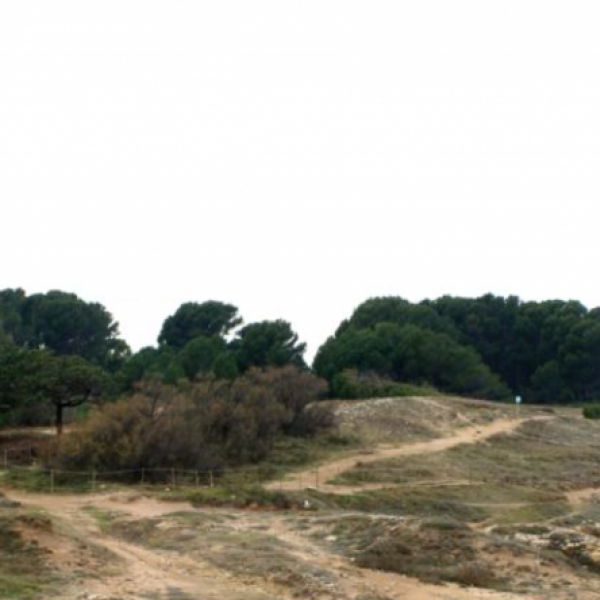 Restauración de espacios naturales 