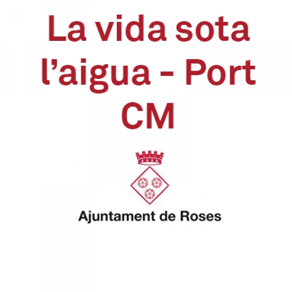 ROSES: La vida sota l'aigua i la pesca al Port de Roses