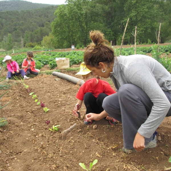 TALLER AMBIENTAL: L'hort a l'aula