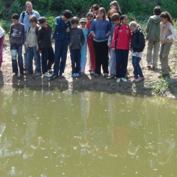 SORTIDA A L'ENTORN:  L'ecosistema d'un punt d'aigua