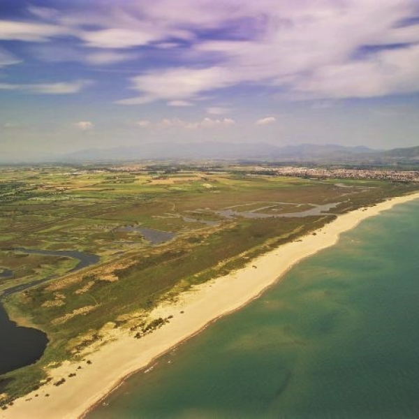 VISITA GUIADA: Descobrim les llaunes dels Aiguamolls de l'Empordà