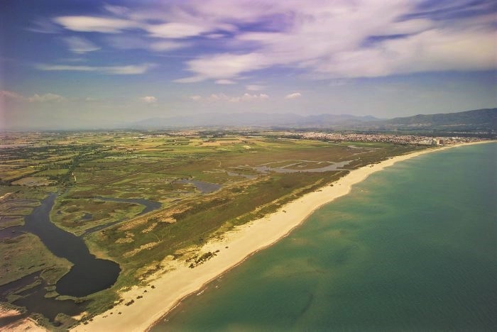 VISITA GUIADA: Descobrim les llaunes dels Aiguamolls de l'Empordà